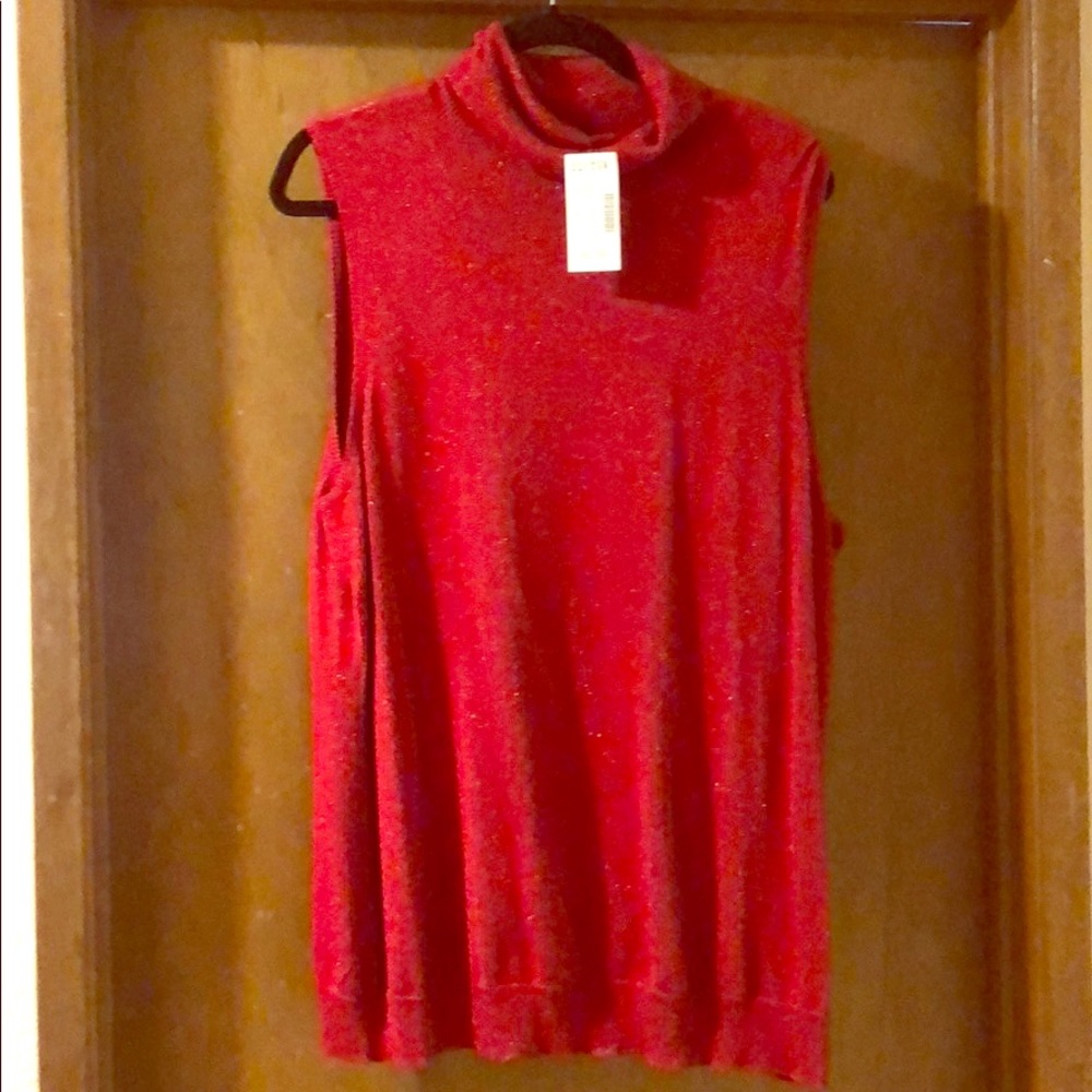 Sparkling Turtle Neck Sleeveless Sweater